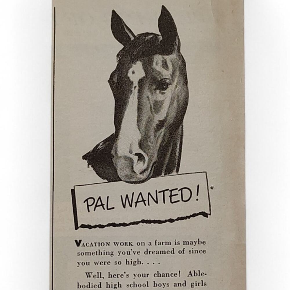 1943 Farm Work Print‎ Ad Pal Wanted Wartime Victory Food Supply Ephemera